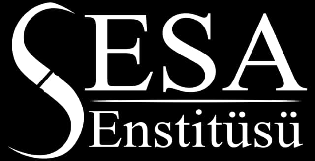 Sosyal Ekonomik ve Siyasal Araştırmalar Enstitüsü